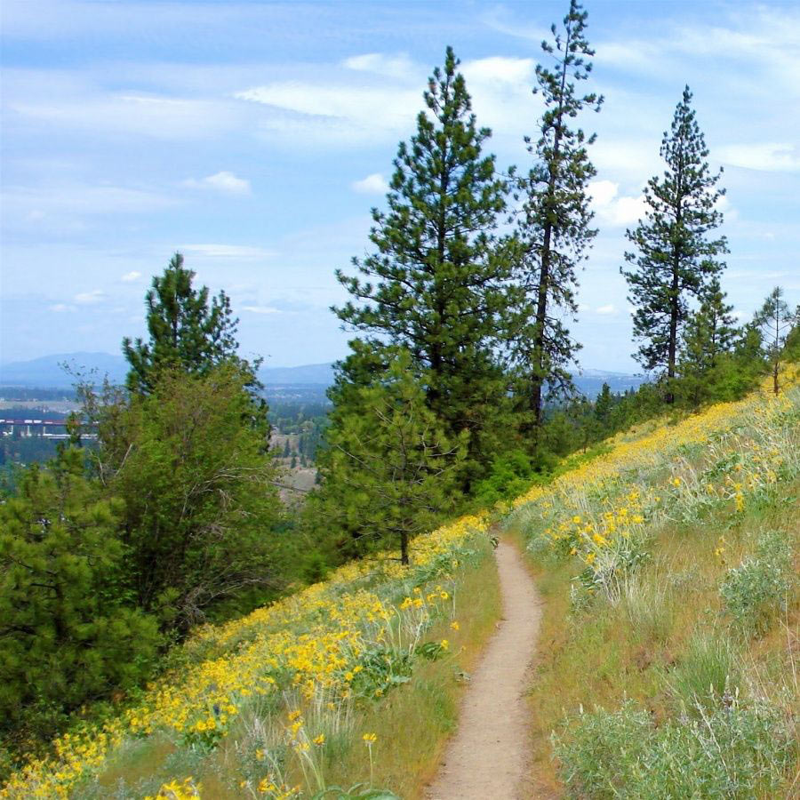 mtspokanetrail